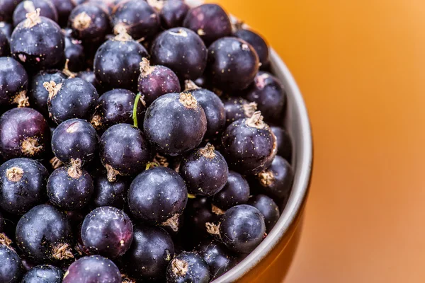 Berries black currants — Stock Photo, Image