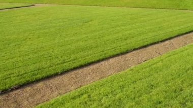 Bialystok 'taki Branicki Sarayı