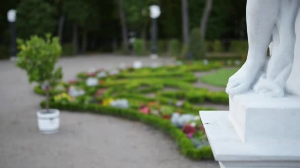 Skulptur nära Branickipalatset i Białystok — Stockvideo