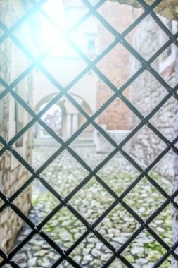 Metal lattice in Wawel, Krakow, Poland