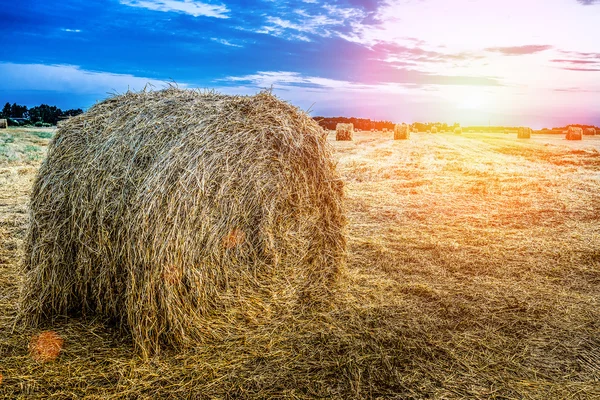 Haystack on an autumn field — Stock Photo, Image