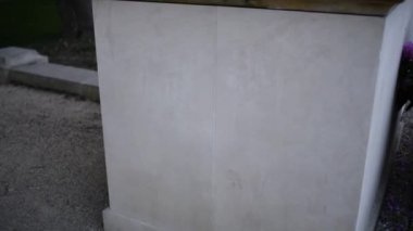 Lazienki Parkı'nda aslan heykeli, Varşova