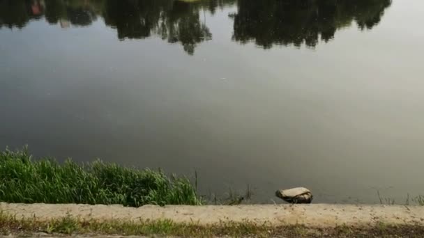 Rio Neman em cidade Grodno — Vídeo de Stock