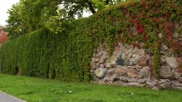 Castillo teutónico en Sztum, Polonia — Vídeos de Stock