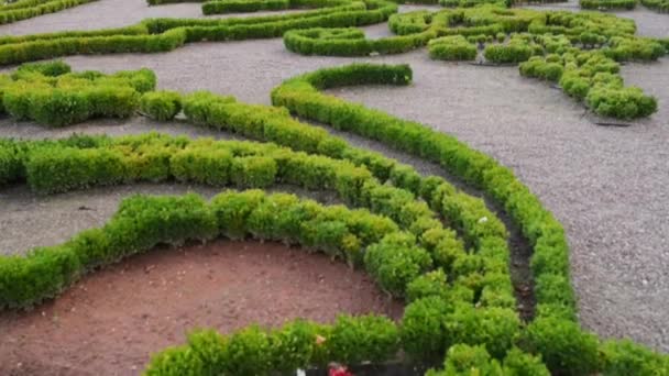 Fontaine et jardin près de Branicki Palace à Bialystok — Video