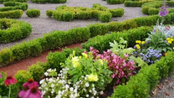 Fontana adn giardino vicino a Palazzo Branicki a Bialystok — Video Stock