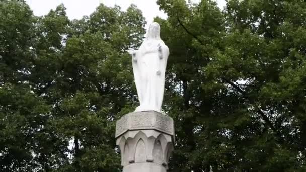 Szűz Mária szobor a lengyelországi Malbork templom közelében — Stock videók