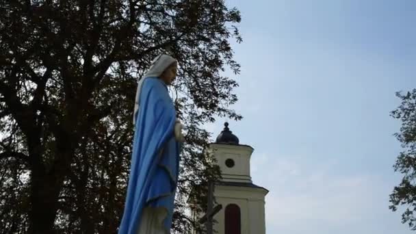 Church of St. Stanislaus in Zbuczyn, Poland — Stock Video