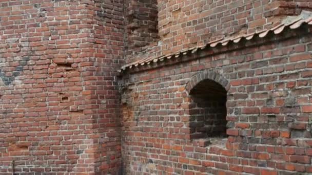 Teutonic castle in Nidzica, Poland — Stock Video