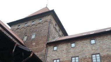 Germen kale Nidzica, Polonya