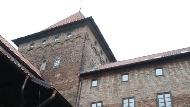 Teutonic castle in Nidzica, Poland — Stock Video