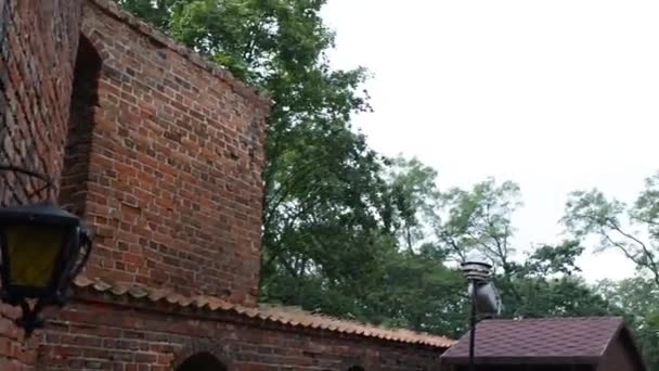 Castillo teutónico en Nidzica, Polonia — Vídeos de Stock