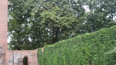 Germen kale Nidzica, Polonya