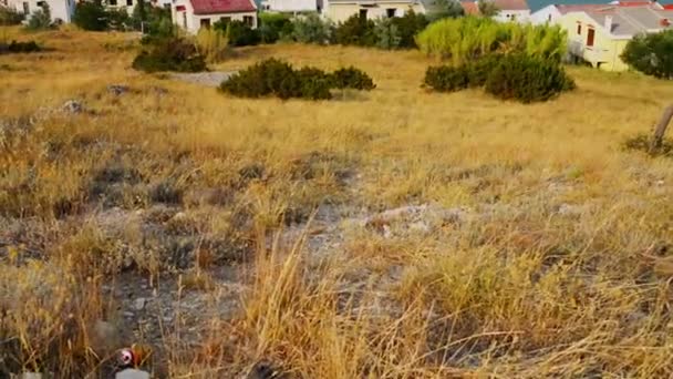 Pag est la plus grande ville de l'île en Croatie 