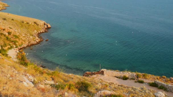 Birds fly around Croatian coast on Adriatic Sea — Stock Video