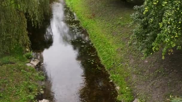 Rio Pisa Warminska em Barczewo, Polonia . — Vídeo de Stock