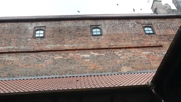 Castillo teutónico en Nidzica, Polonia — Vídeo de stock