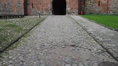 Germen kale Nidzica, Polonya