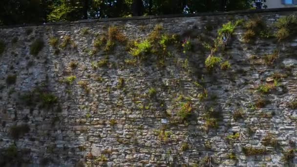 Bergamo, porta della città — Video Stock