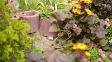 Kilise Sts. Barczewo, Polonya'da bulunan Anna