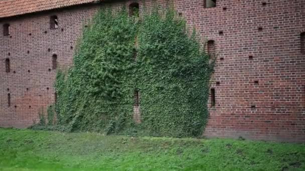 ポーランドのマルボークにあるドイツ騎士団の城 — ストック動画