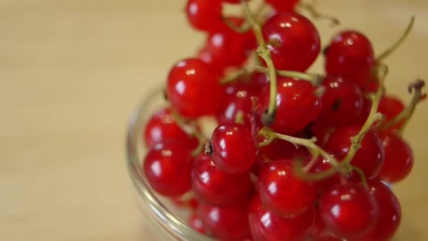 Movimento circolare senza cuciture: ribes rosso — Video Stock