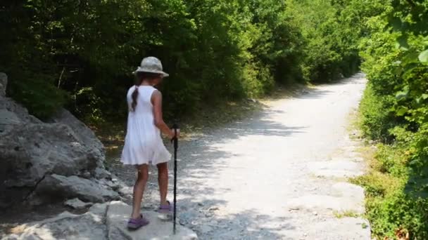 Canyon karstique de la rivière Velika Paklenica — Video