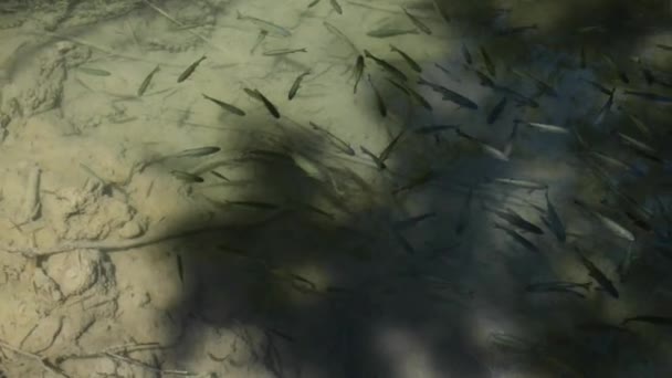 Parc national de Krka est l'un des Croates 