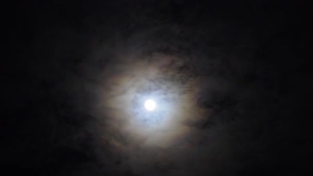 Volle maan met snelle wolken — Stockvideo