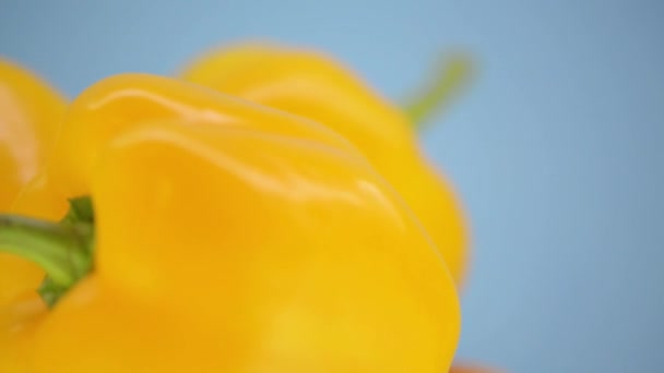 Algunos pimientos dulces amarillos — Vídeo de stock