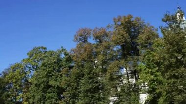 Stanislaw Kostka Potocki mezarına Wilanow