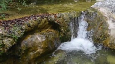 Küçük kız Nordic Walking devreye girer