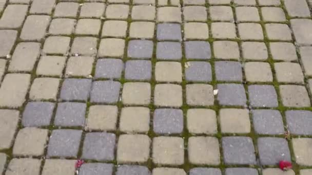 A sidewalk - known as a footpath, footway or pavement — Stock Footage A sidewalk - known as a footpath, footway or pavement Stock Video