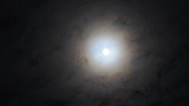 Pleine lune avec des nuages rapides — Video