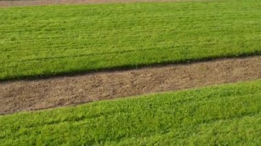 Bialystok 'taki Branicki Sarayı