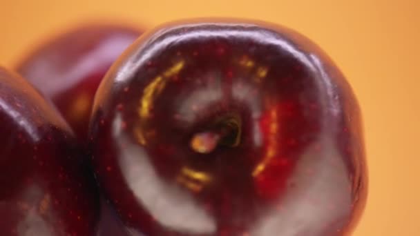 Circular motion: red currant — Stock Video