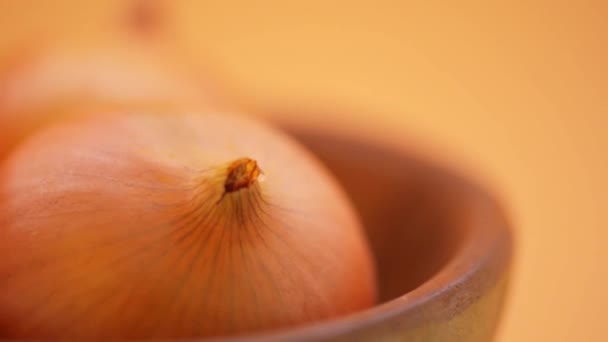 Kreisförmige Bewegung: rote Johannisbeere — Stockvideo