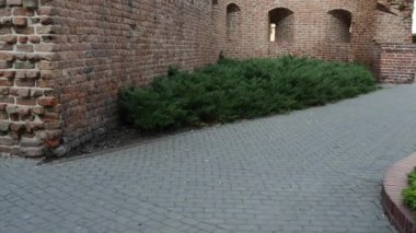 Royal Castle Poznan, Polonya
