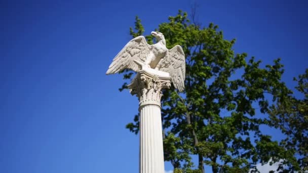 Stella with eagle near Wilanow Palace, Warsaw — Stock Video