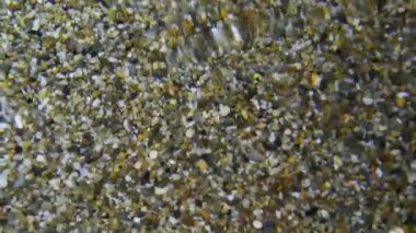 sığ sularda küçük çakıl taşı