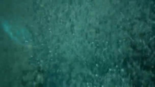 Bulles d'air dans l'eau