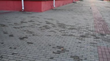 Bağımsızlık Avenue Minsk, Beyaz Rusya