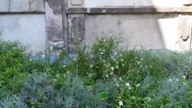 San Marco Milano, Kuzey İtalya kilisesidir