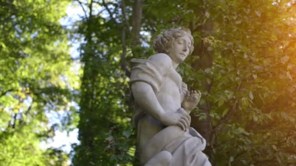 Sculptures dans le parc du Palais Wilanow, Varsovie — Video