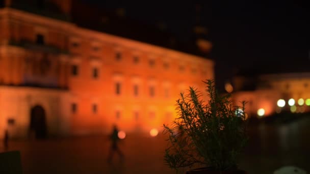 Koninklijk Paleis in Warschau, Polen op nacht — Stockvideo