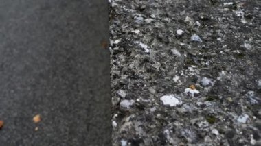 Bergamo Lombardy, İtalya için bir şehirdir