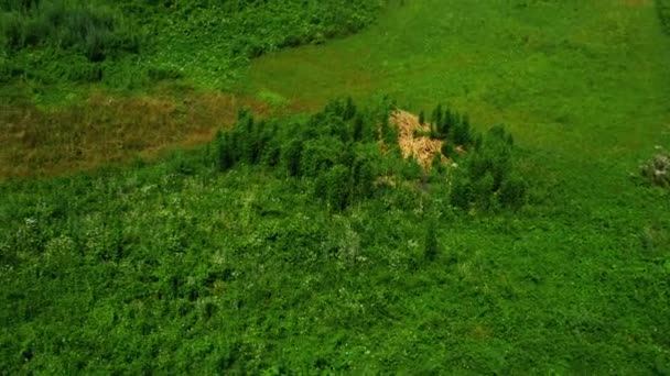 Μπέργκαμο είναι μια πόλη στη Λομβαρδία, Ιταλία — Αρχείο Βίντεο