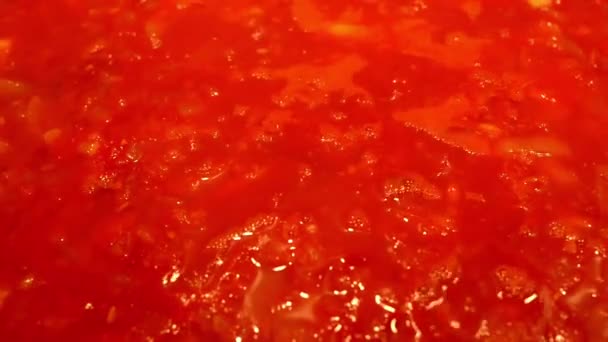 La salsa de tomate hierve en una cacerola — Vídeo de stock