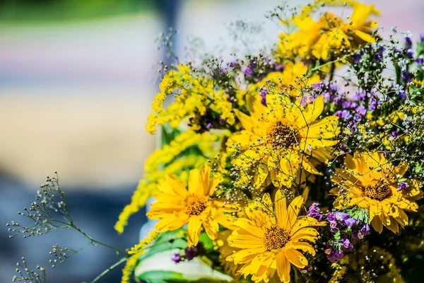 Rudbeckia bitki cinsidir ayçiçeği ailede — Stok fotoğraf