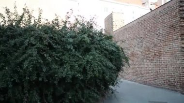 Royal Castle Poznan, Polonya